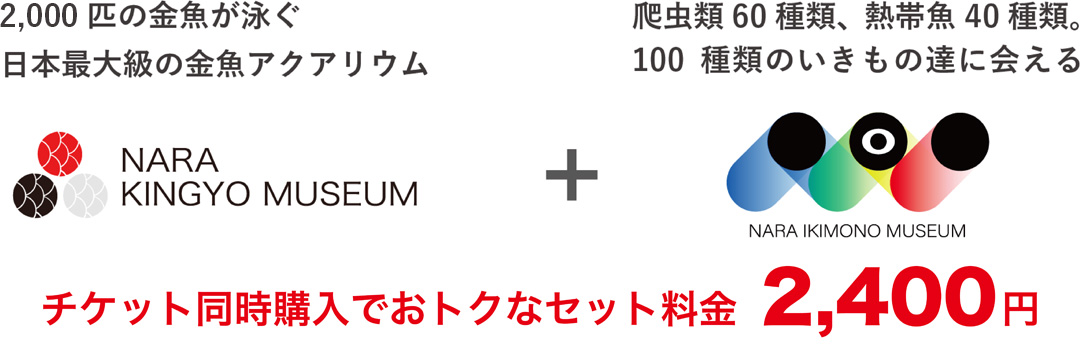 楽天チケット購入